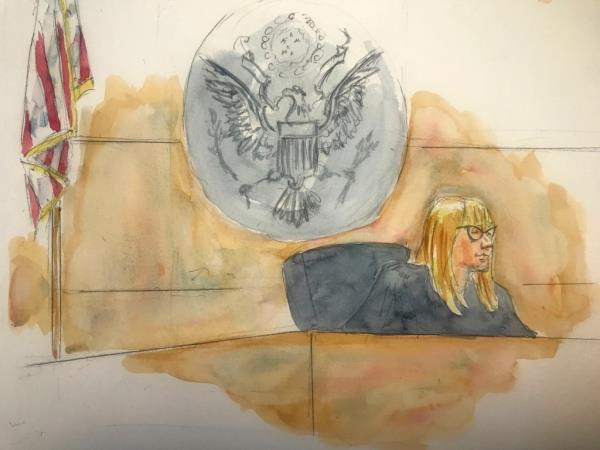 A courtroom sketch of Magistrate Judge Anne Y. Shields
