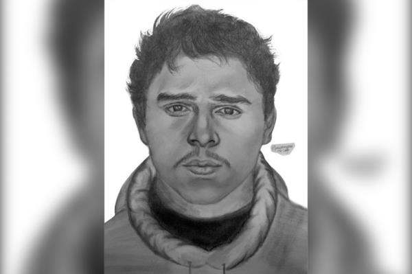 A mugshot of the suspect in the attempted rape a 15-year-old girl in a wooded area of Pelham Bay Park May 18.