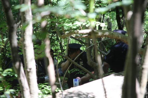 The scene of Alley Pond Park wher<em></em>e Julio Vasquez's body was found in 2017.