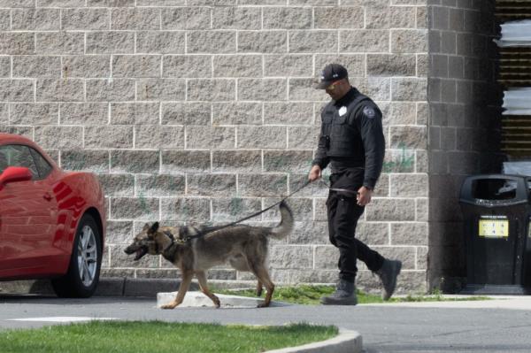 Man wearing an MSA Security cap and bullet proof vest walking a German Shepherd on a leash outside of the New Rochelle Home Depot this week
