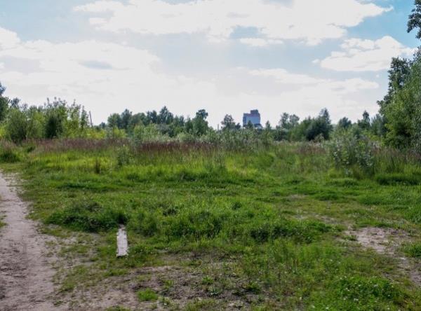 A clearing in Yaroslavl, Russia, wher<em></em>e the ritualistic murders took place in 2008