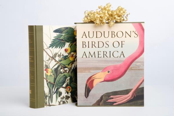 Audubon's Birds of America. 