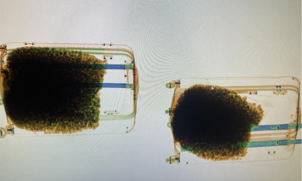An X-ray scan shows two bags co<em></em>ntaining 110 lbs of ketamine inside suitcases that were brought by a UK citizen who arrived on a flight from France