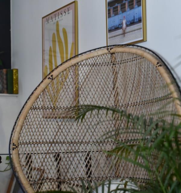 A wicker chair and plants