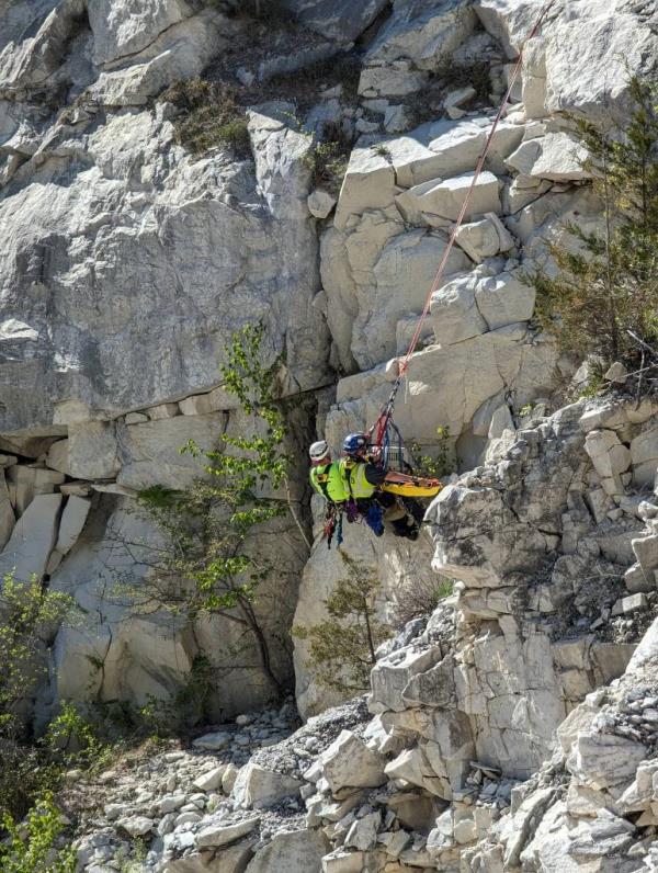 dog rescue at quarry