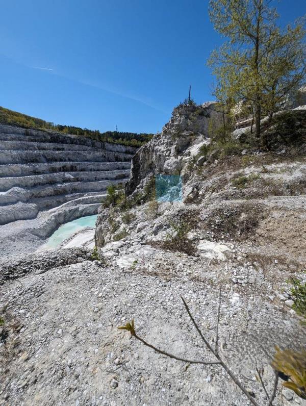 Dog Rescue from Quarry 