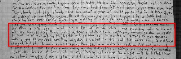 A 2018 diary entry expressed Laundrie's desire to hurt himself, shoot himself, and set himself on fire.