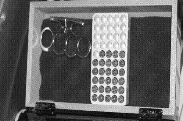 An FBI raid at Laundrie's Florida home seized brass knuckles and dozens of bullets.