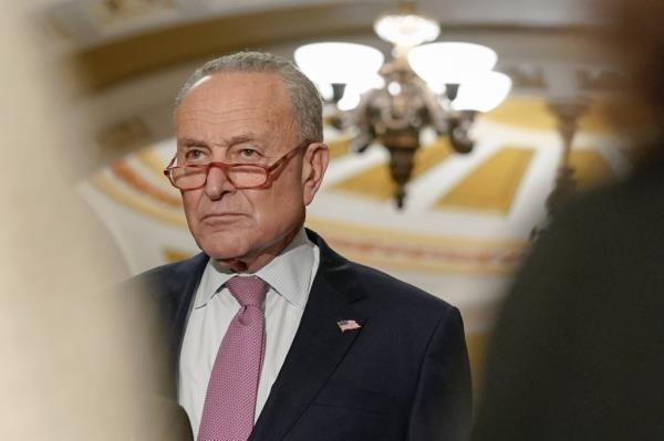 Senate Majority Leader Chuck Schumer denounced US protests against Israel's retaliatory strikes on Gaza