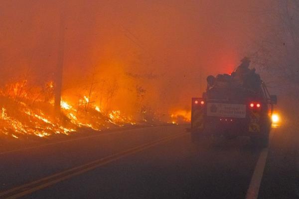 Firefighters in the woods