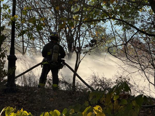 Firefighters in Prospect Park