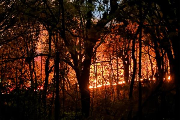 FDNY firefighters working to co<em></em>ntain a small fire in Prospect Park