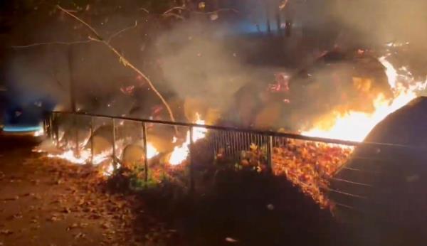 Firefighters in Prospect Park