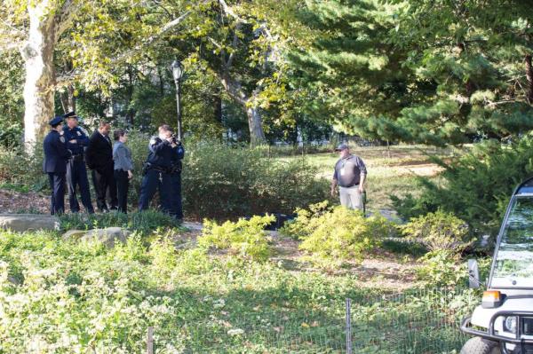 He would later abandon the dead bear in Central Park, making it look like a bike hit the animal.