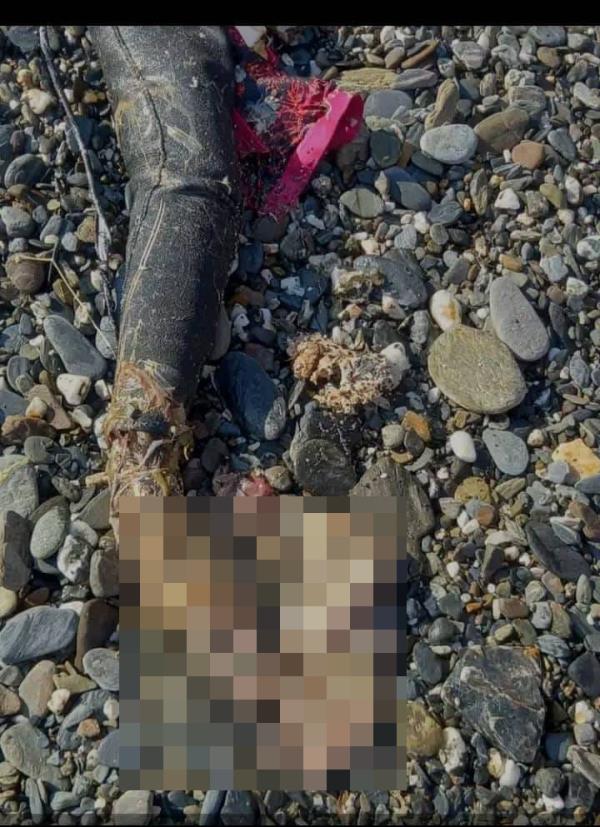 A local fisherman found Monfore's remains in a shark.