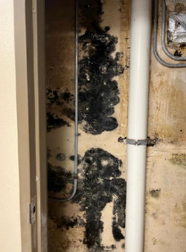 According to the report, many service members complained abut havin<em></em>g water in the barracks that is unsafe to drink.