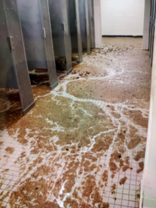 The investigators discovered a number of issues including sewage overflows, cracked pipes and mold.