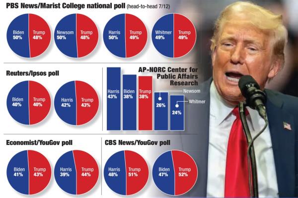 natio<em></em>nal poll 