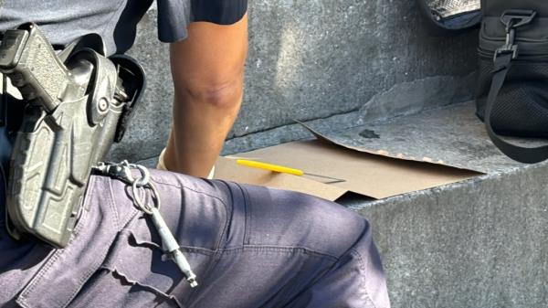 The victim was attacked while sitting in a parked car at 143rd Street and Lowe Court in Jamaica around 11 a.m. Wednesday, cops said.