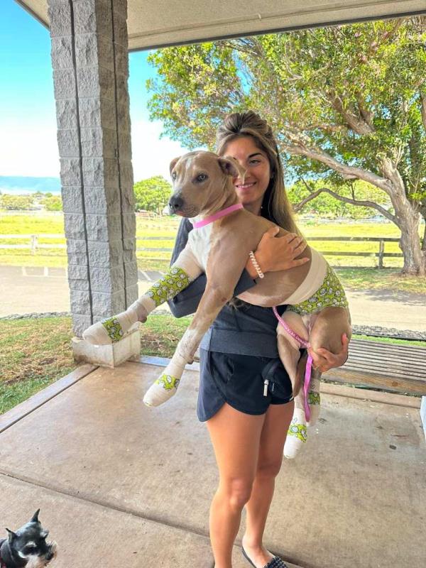 Nicole Comey was reunited with her dog Roman after he was burned during the wildfires in Hawaii. 