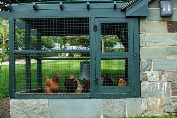 susie hilfiger ct compound