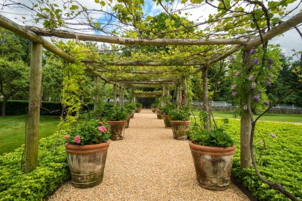 susie hilfiger ct compound