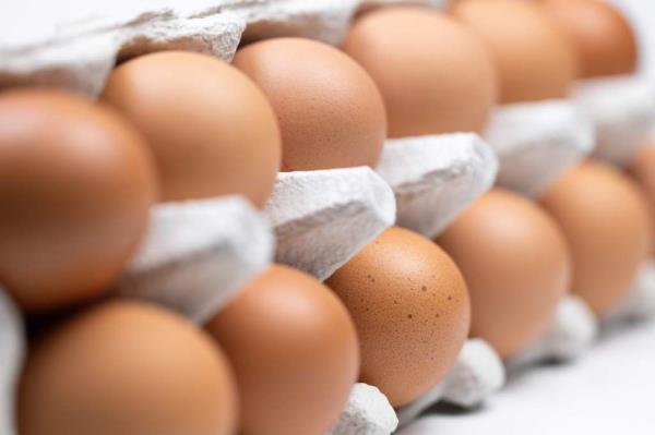 Food prices in August were 4.3% higher compared to the same period a year ago.