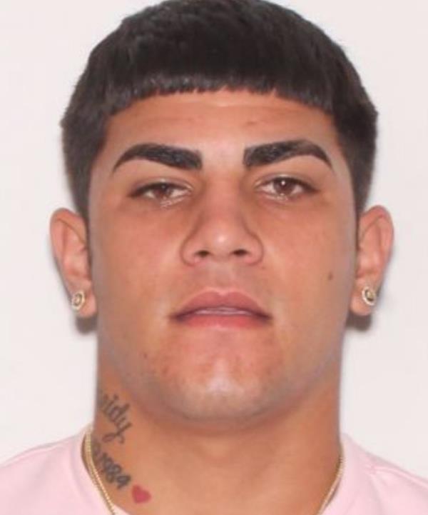 Leosvany Roman was arrested after allegedly crashing into two HCSO vehicles before fleeing the scene, the sheriff's office said. 