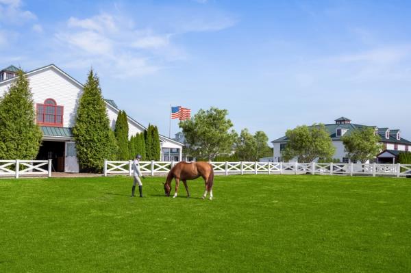 Mado<em></em>nna also has a horse farm nearby in Bridgehampton