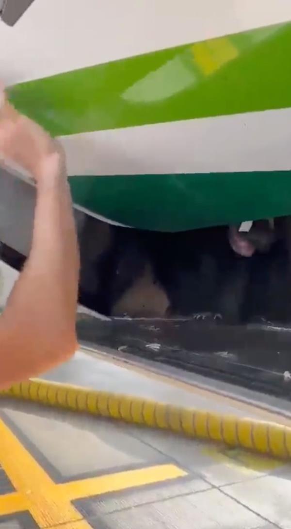 A bear is seen roaming free inside an Iraqi Airways plane's cargo hold at Dubai Internatio<em></em>nal Airport Friday. 