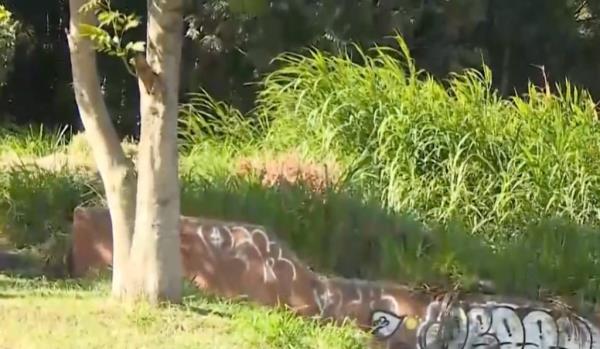 Xiong's body was found lying in the La Corcovado ravine with over a dozen stab wounds and multiple bruises caused from an apparent fall from over 60 feet