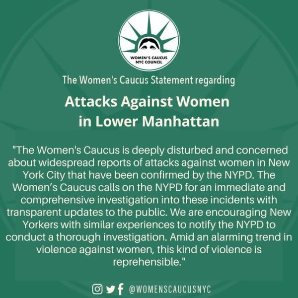 The City Council's Women's Caucus posted a message calling on the NYPD to investigate a several incidents of women being randomly punched in New York City.