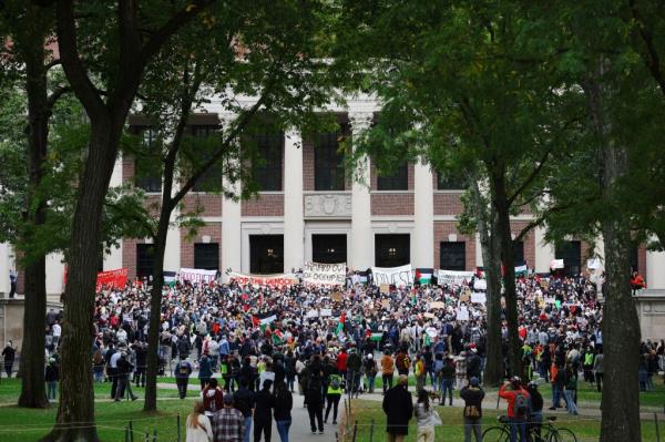 Demo<em></em>nstrators rallying in support of Israel, denouncing antisemitism and calling for the release of Israeli hostages at the Natio<em></em>nal Mall in Washington, DC, November 14, 2023