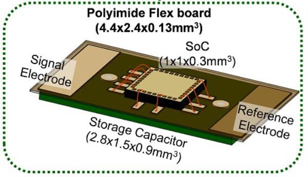 The 'brainternt' project: Scientists create wireless implants that could let users co<em></em>ntrol computes and smart devices with their MINDS</p>

<p>　　