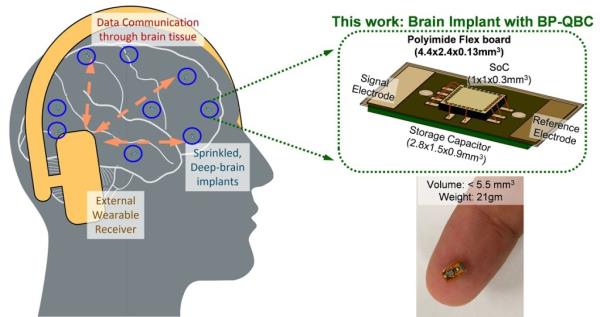 The 'brainternt' project: Scientists create wireless implants that could let users co<em></em>ntrol computes and smart devices with their MINDS</p>

<p>　　
