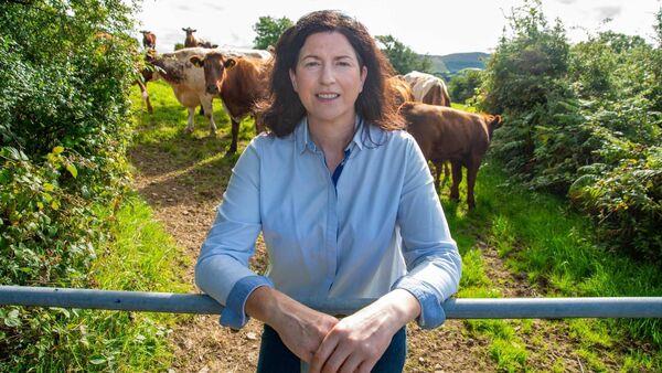 Helen O'Sullivan: Tireless work and roadblocks, but it just wasn't working for Farmers' Alliance
