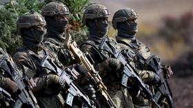 Poland will welcome German troops – minister