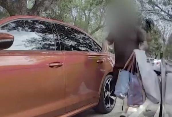 A thief was caught on a Tesla camera showing him going into a boot and taking someone else's Christmas shopping. Credit: Local10