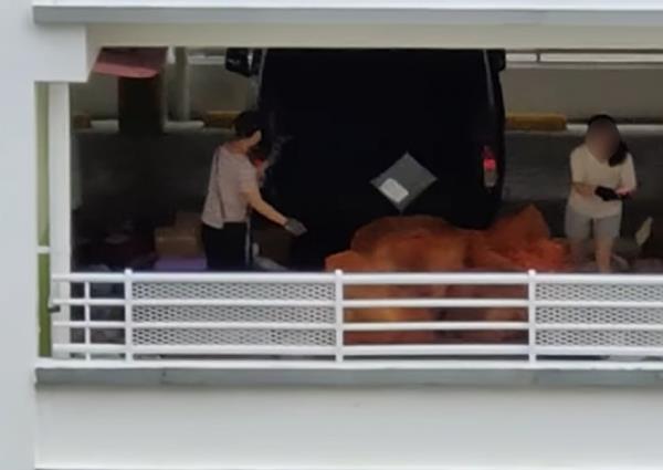 'Tossed around like roti prata': Parcel sorters fling packages into pile at Admiralty l<em></em>ink carpark